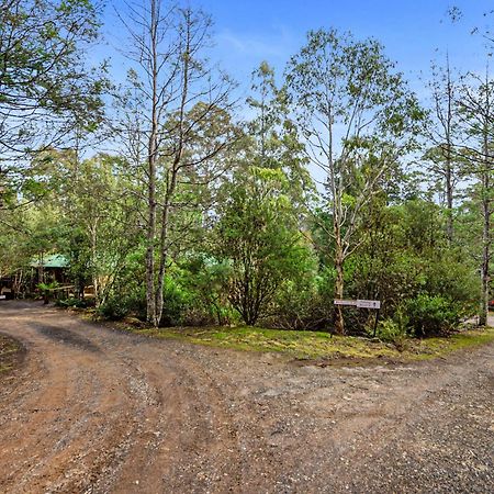 Cradle Forest Inn Moina Zewnętrze zdjęcie