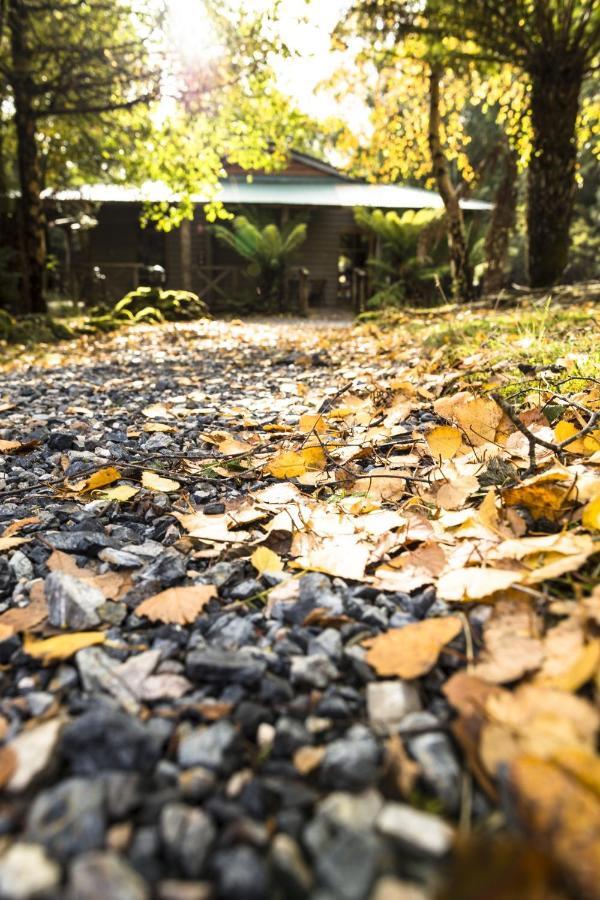 Cradle Forest Inn Moina Zewnętrze zdjęcie